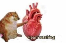 6b27222adf935f195a949b245fa26c77.jpg 6b27222adf935f195a949b245fa26c77.jpg