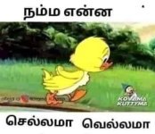 FB_IMG_1688650535071 (1).jpg