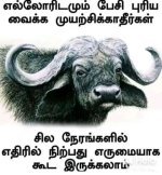 d9e5ae38a026627cfea4d39b1f8261ab (1).jpg